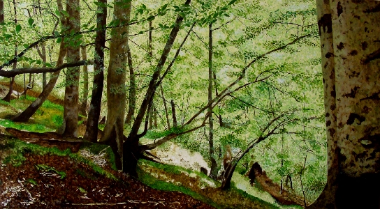 Saja-Besaya 1